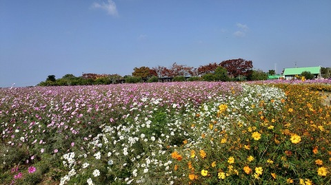 KIMG20251114_103510020