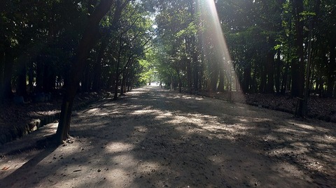 KIMG20260822_080325949
