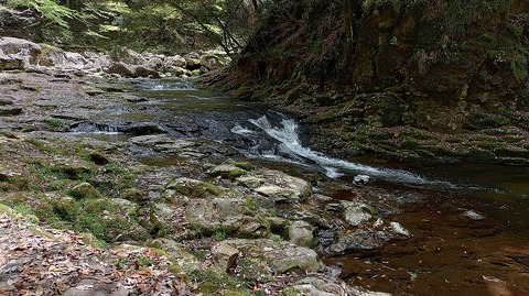 KIMG20260417_121042821