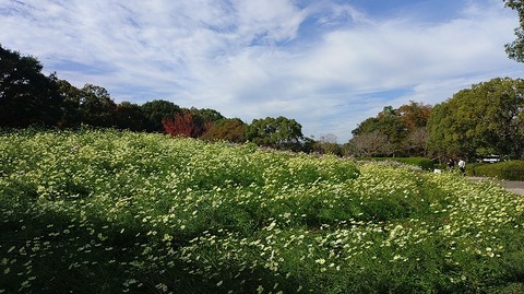 KIMG20251112_110243968