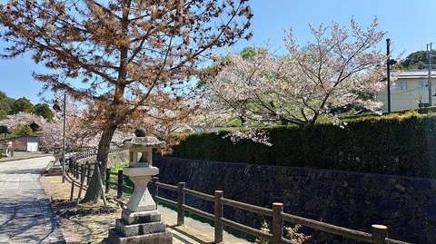 KIMG20260408_103942161