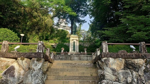 KIMG20260601_060543725