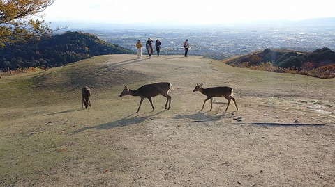 KIMG20251119_152418896