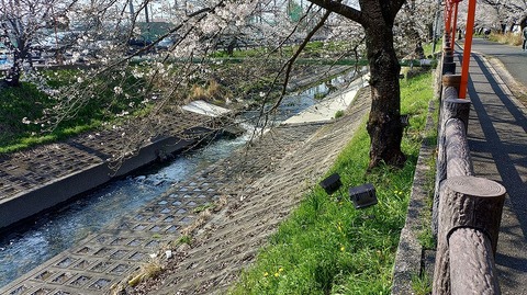 KIMG20260403_084159730