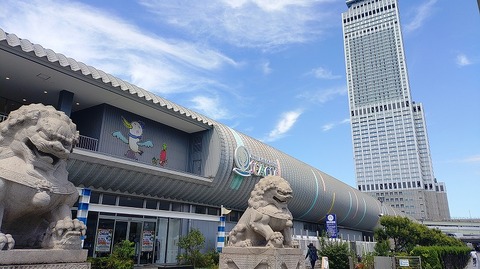 KIMG20260819_122921549