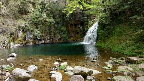 KIMG20260417_121803983