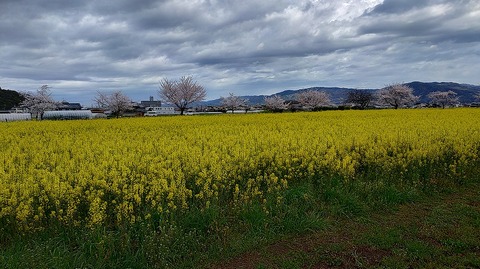 KIMG20260331_104041854