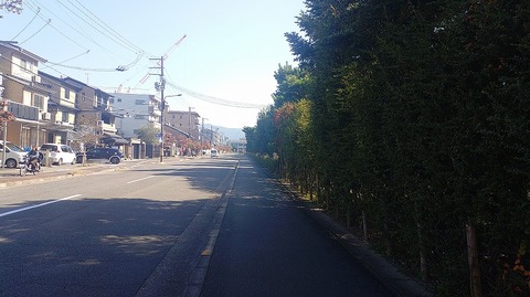 KIMG20251108_110154971