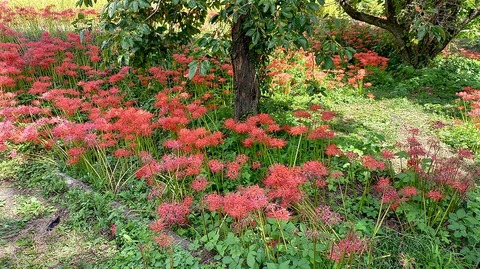 KIMG20251002_111153323