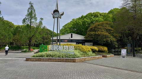 KIMG20260422_094626023