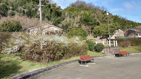 KIMG20260314_075246721