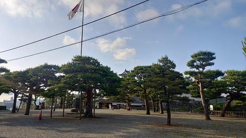 KIMG20260601_061246222