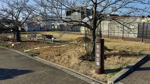 KIMG20260221_084752894