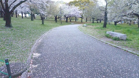 KIMG20260405_054634114