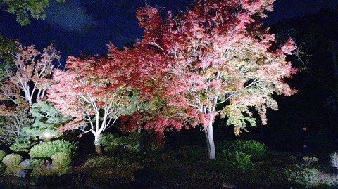 KIMG20251121_174810236