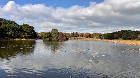 KIMG20251204_125501633