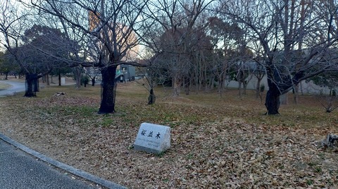 KIMG20260121_071432364