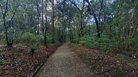 KIMG20251125_134504307