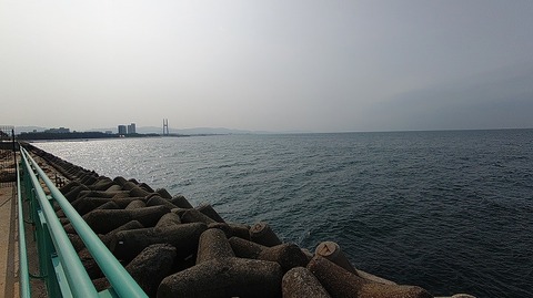 KIMG20260216_125204254