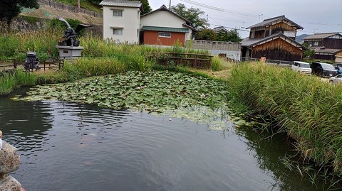 KIMG20250923_115838953