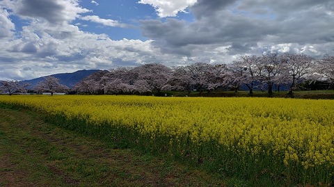 KIMG20260331_104038700