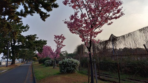 KIMG20260329_065737753