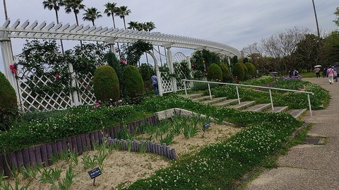 KIMG20260422_101837238