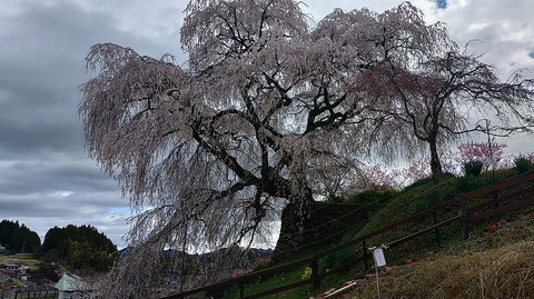 KIMG20260331_113114055