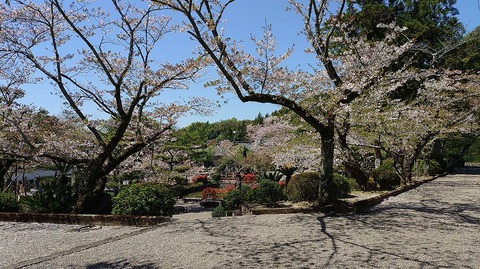 KIMG20260408_105108029