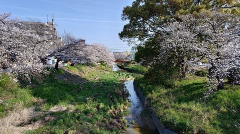 KIMG20260403_082320168