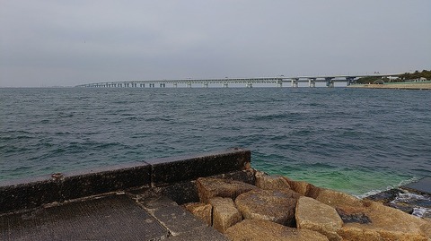 KIMG20260216_130342233