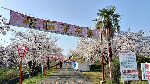 KIMG20260403_083359959