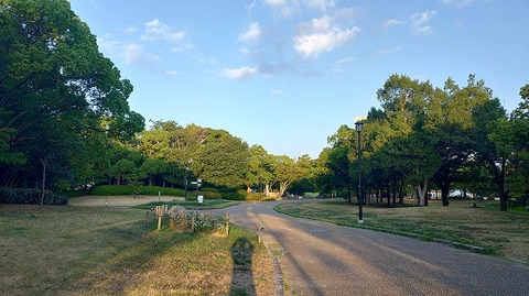 KIMG20260901_060846947
