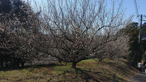 KIMG20260218_125918031