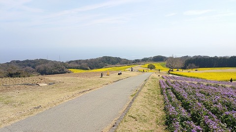 KIMG20260324_120008311