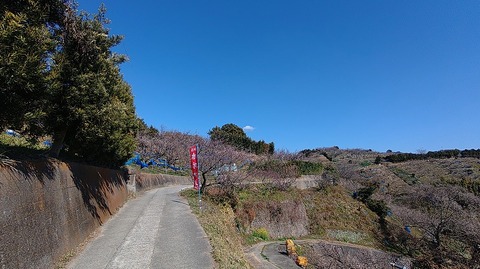 KIMG20260218_125226506