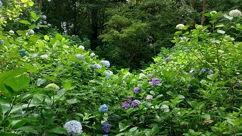 KIMG20260618_101634016