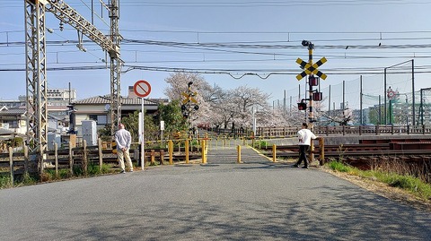 KIMG20260403_082505956