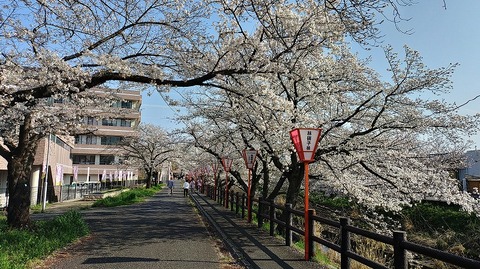 KIMG20260403_082813880