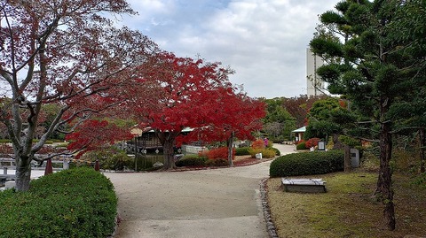 KIMG20251203_102057084