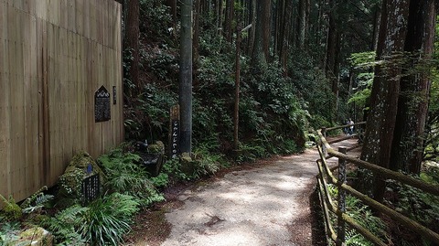 KIMG20260417_115141610