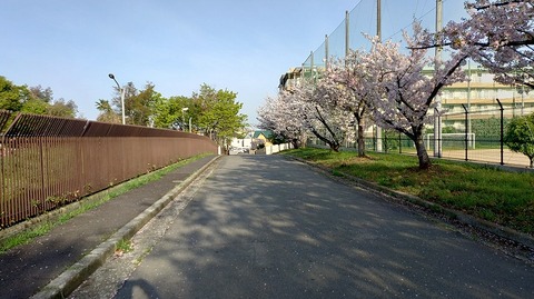 KIMG20260406_071642571