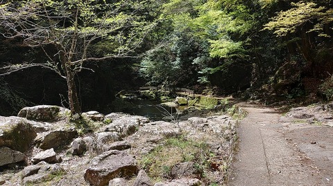 KIMG20260417_122505312