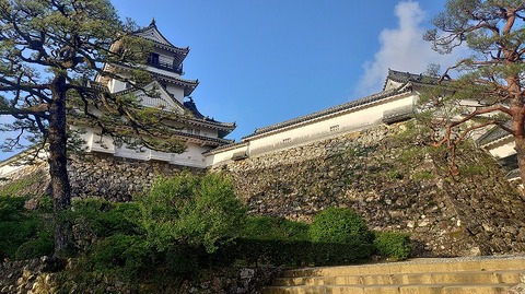 KIMG20260601_060945455
