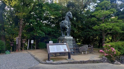 KIMG20260601_060751010