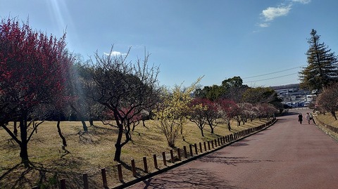 KIMG20260219_121631302