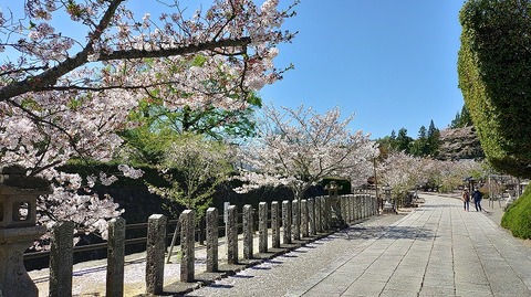 KIMG20260408_105316848