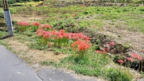 KIMG20251002_110536174