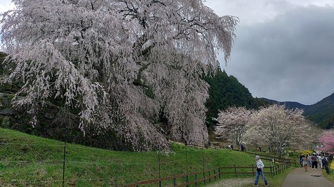 KIMG20260331_112619390