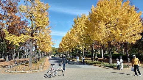 KIMG20251123_102226470